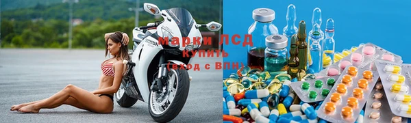 шишки Горно-Алтайск