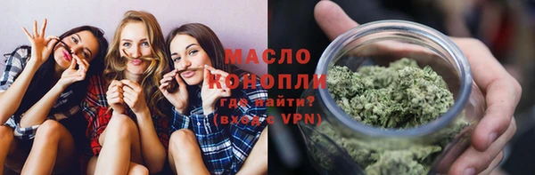 шишки Горно-Алтайск