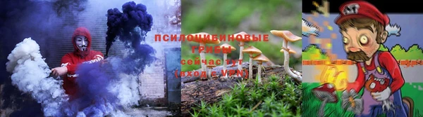 шишки Горно-Алтайск