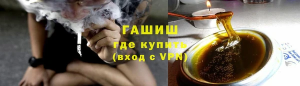 шишки Горно-Алтайск
