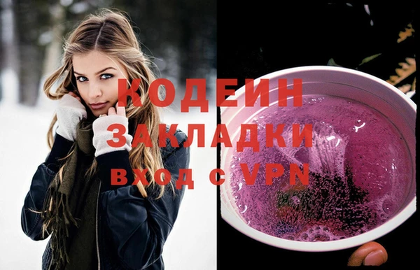шишки Горно-Алтайск