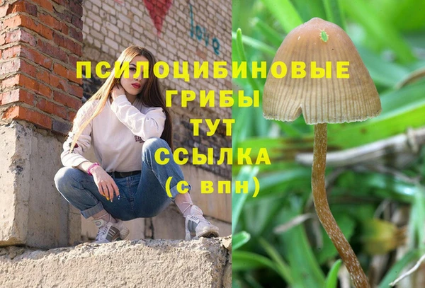 тгк Горняк