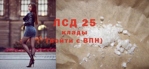 шишки Горно-Алтайск